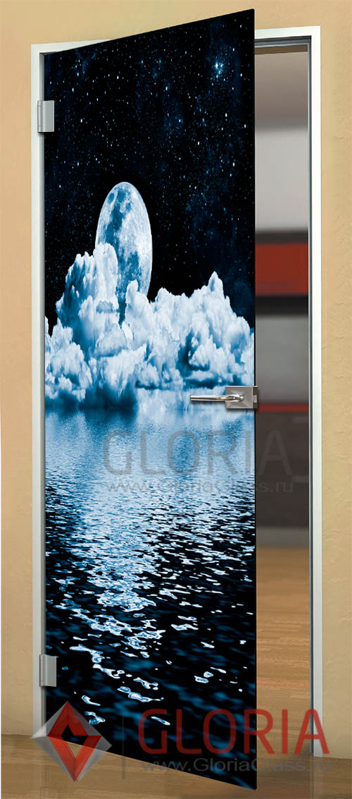 Стеклянная дверь с фотопечатью серии Imagination  - модель Ночной океан